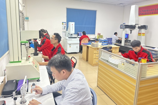 Stamping Product Production Case: Enhancing Quality and Efficiency for American Clients​